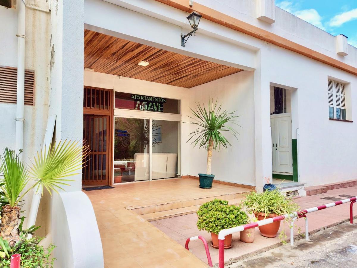 Estudio Plata Puerto de la Cruz  Luaran gambar